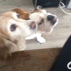 Meet your Posher, Dana